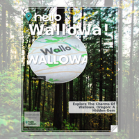 Image for Wallowa