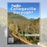 Image for Collegeville borough