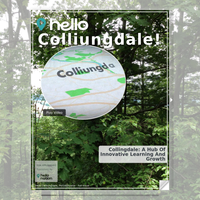 Image for Colliungdale