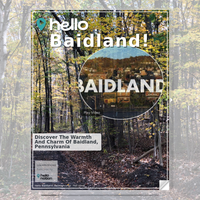 Image for Baidland