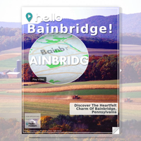 Image for Bainbridge