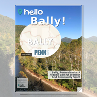 Image for Bally