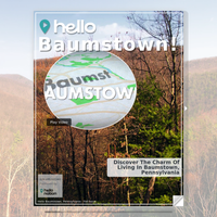 Image for Baumstown