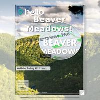 Image for Beaver Meadows