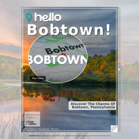 Image for Bobtown