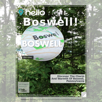 Image for Boswell