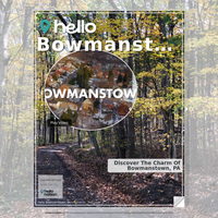 Image for Bowmanstown