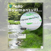 Image for Bowmansville