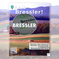 Image for Bressler