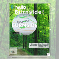 Image for Burnside