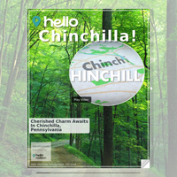 Image for Chinchilla