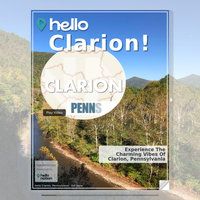 Image for Clarion