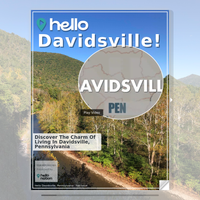 Image for Davidsville