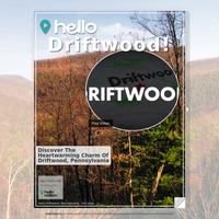 Image for Driftwood