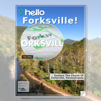 Image for Forksville