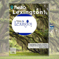 Image for Lexington