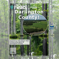 Image for Darlington County