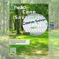 Image for Cane Savannah