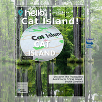 Image for Cat Island