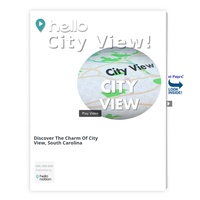 Image for City View