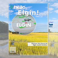 Image for Elgin