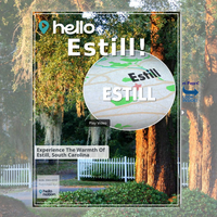 Image for Estill