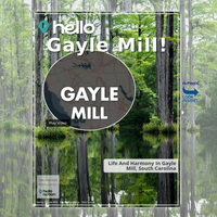 Image for Gayle Mill