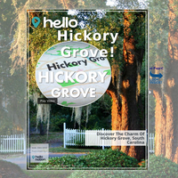 Image for Hickory Grove