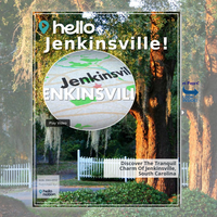 Image for Jenkinsville