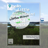 Image for Little Mountain