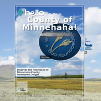 Image for County of Minnehaha