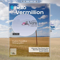 Image for Vermillion