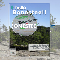 Image for Bonesteel