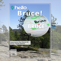 Image for Bruce