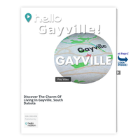 Image for Gayville