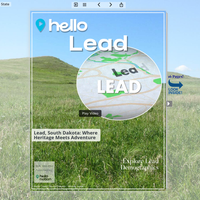 Image for Lead