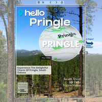 Image for Pringle