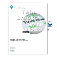 Image for Twin Brooks