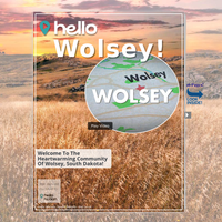 Image for Wolsey