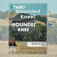 Image for Wounded Knee