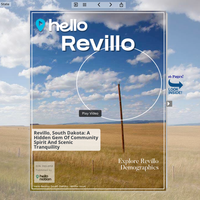 Image for Revillo