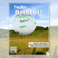 Image for Bristol