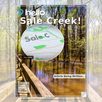 Image for Sale Creek