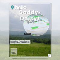 Image for Soddy-Daisy