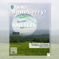 Image for Baneberry