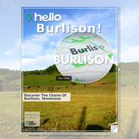 Image for Burlison