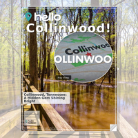 Image for Collinwood