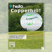 Image for Copperhill