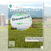 Image for Decaturville