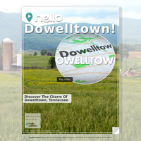 Image for Dowelltown